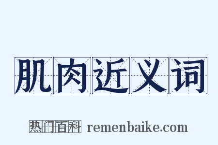 肌肉近义词是什么意思的图片